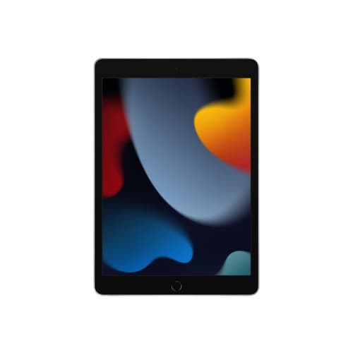 Apple 10.2-inch iPad Wi-Fi - 9:e generation - surfplatta - 256 GB - 10.2"