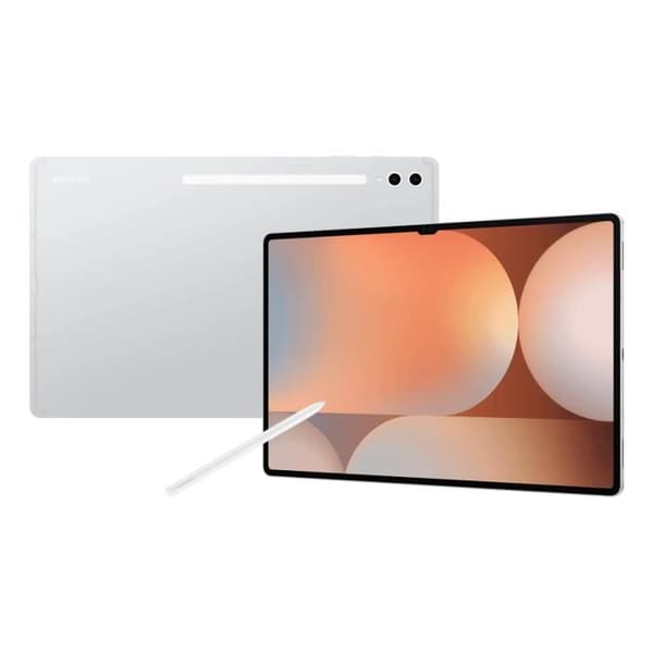 Samsung Galaxy Tab S10 Ultra 14,6" 16 Go/1 To Wi-Fi Silver (Platinum Silver) X920N