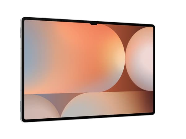 Samsung Galaxy Tab S10 Ultra Wi-Fi Surfplatta 12/256GB - Platina Silver(Nordisk)