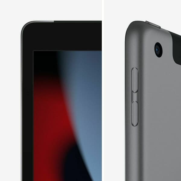 Läsplatta Apple MK4E3TY/A 10,2" Hexa Core 3 GB RAM 64 GB Grå