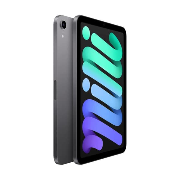 Läsplatta Apple mini Octa Core 4 GB RAM 64 GB Grå 8,3"
