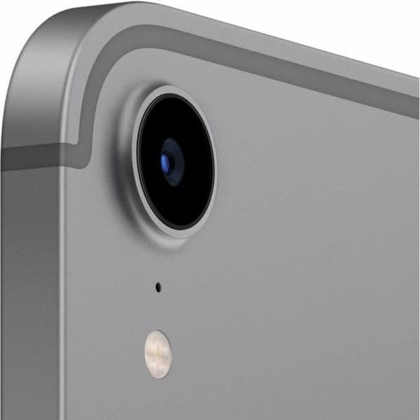 Läsplatta Apple iPad mini Grå 64 GB