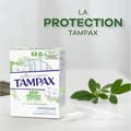 Miniatyrbild 5 av 6: Tampax Cotton Protection Vanliga tamponger med applikator x16