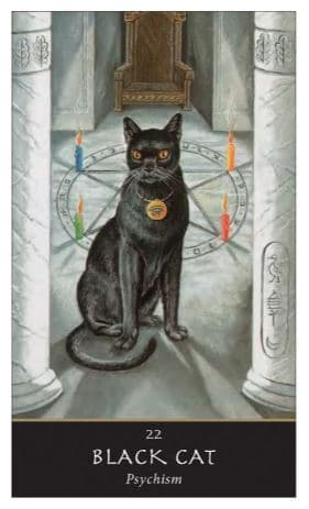 The Witches' Oracle