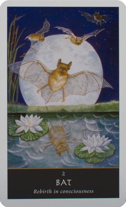 The Witches' Oracle