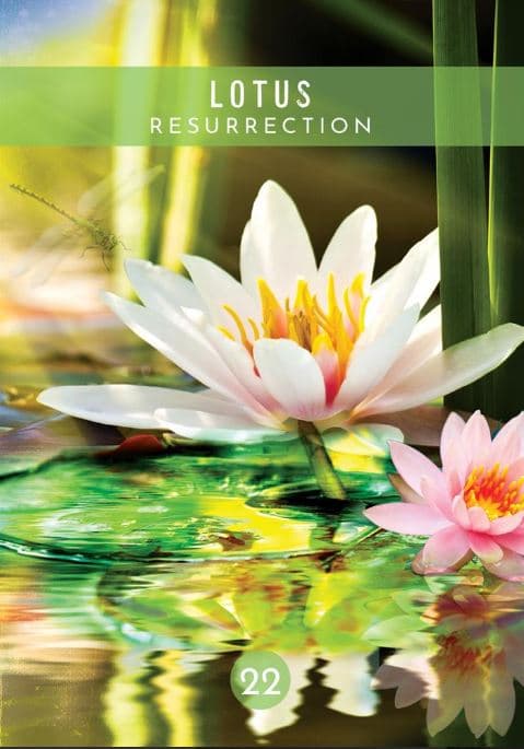 Messages from the Spirits of Nature Oracle NYHET!