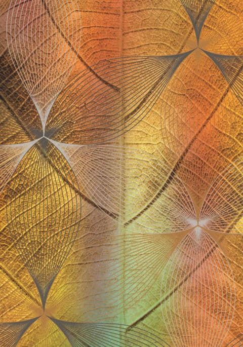 Messages from the Spirits of Nature Oracle NYHET!