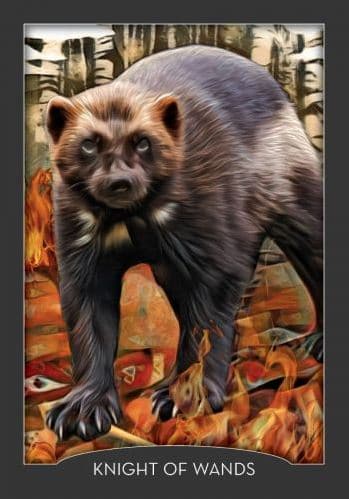 The Guardian of the Night Tarot NYHET!