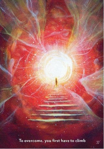 The Healing Spirits Oracle NYHET