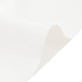 Miniatyrbild 4 av 9: vidaXL Presenning vit 4x7 m 650 g/m²