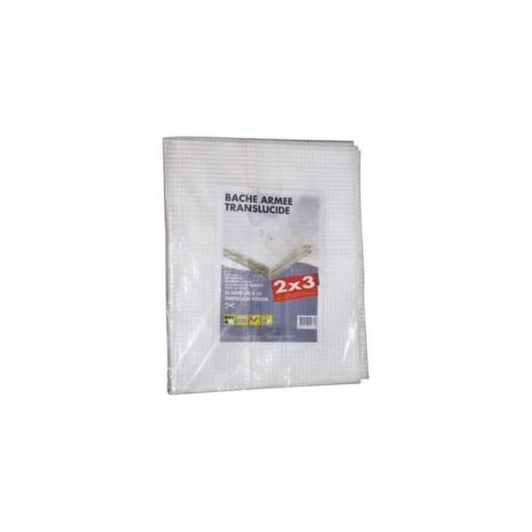 Genomskinlig förstärkt tarp - UTGÅNGSMATERIALE FRÅN ST ETIENNE - 2x3 m - Polyeten - 170 g/m² - Förstärkt
