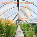 Miniatyrbild 2 av 4: TD PE Transparent presenning förtjockad vattentät duk 4m x 6m utomhus transparent presenning balkongpresenning vindruta regnpresenning