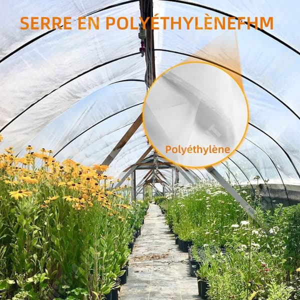 TD PE Transparent presenning förtjockad vattentät duk 4m x 6m utomhus transparent presenning balkongpresenning vindruta regnpresenning