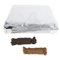 Miniatyrbillede 1 af 2: Tarpaulin, PVC-materiale, 3x5m dimensioner,Gennemsigtig