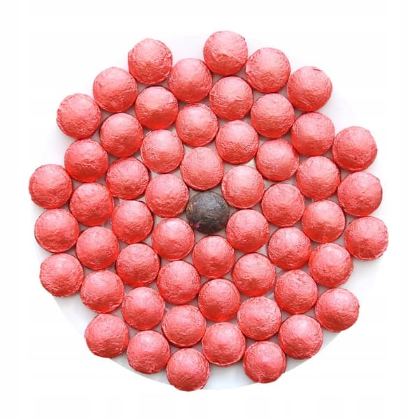 Rød PU ERH TUOCHA ROSE te 500g, presset puer