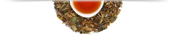 Pai Mu Tan Dan White Tea - 50g