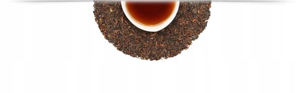 Darjeeling sort te - 100 g
