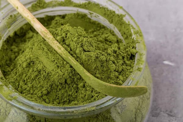 Matcha Premium grøn te - 1 kg
