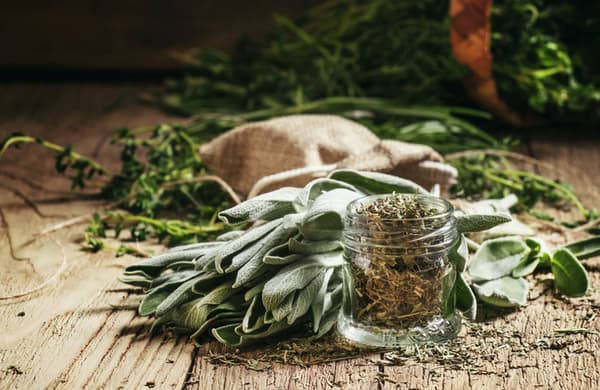 Salvia - torkad ört 100g / Naturo