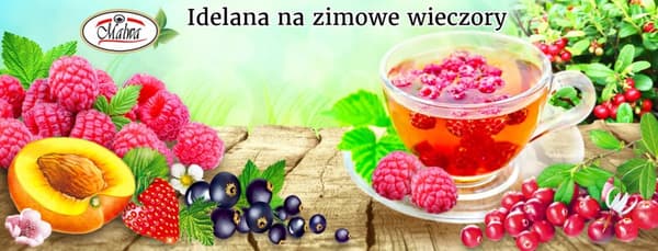Fruktte Tranbär 20 påsar / MALWA