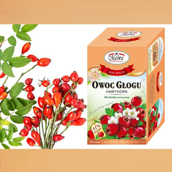 Frukt- och örtte HAGTORNSFRUKT 20 påsar / MALWA