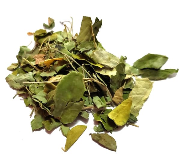 Moringa oleifera blad 50g