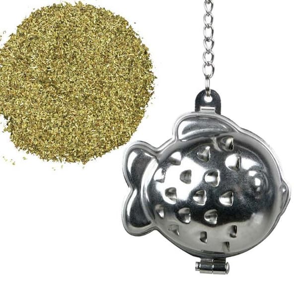 Infusionsapparat för vit kattfisk-te + argentinsk Mate-infusion