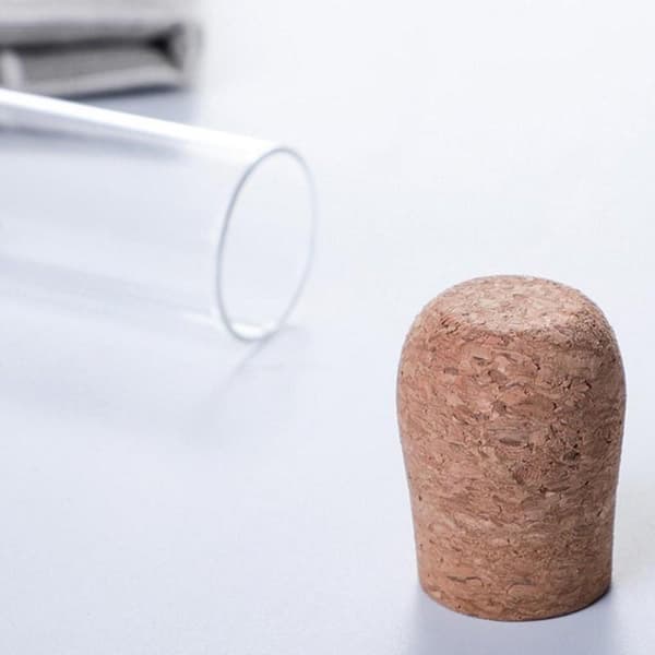Smagfuld og elegant te infuser tea te-si i glas