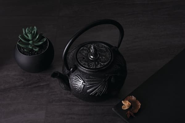 STØBEJERN INFUSER 800ml BERLINGER HAUS BH-7802