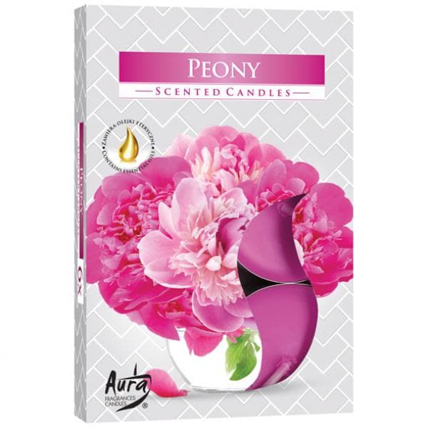 Doftljus Pion (6-Pack)
