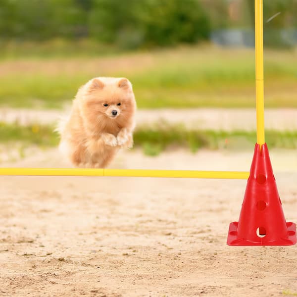 Set med 12 koner och 6 stänger, agility eller fotboll, hundhinder, röd och gul