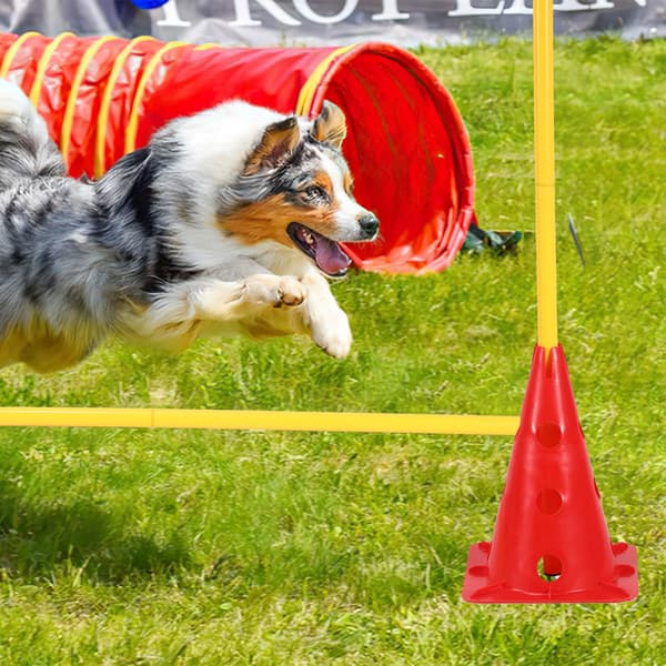 Set med 12 koner och 6 stänger, agility eller fotboll, hundhinder, röd och gul