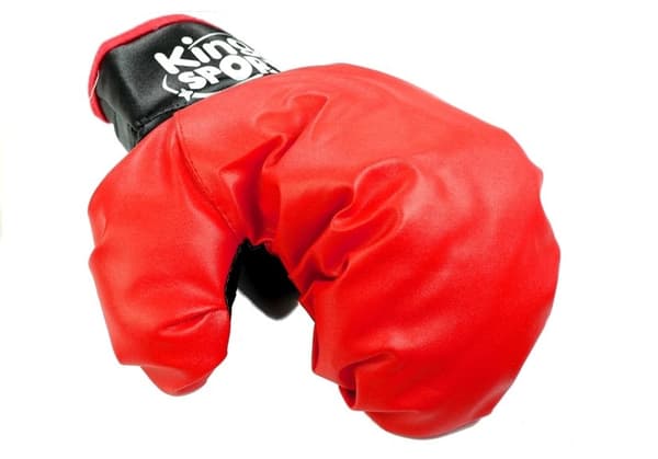 Big Boxer Set For Kids + Gloves Pear Stand