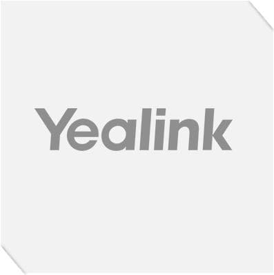 Yealink - Strømadapter - 1,2 A (DC-stik) - Europa (PSU_5V/1,2A)