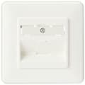Miniatyrbillede 1 af 4: BTR 130B11D10002-E Datastik C6A modul 1 port 180° til overflademontering Pure White