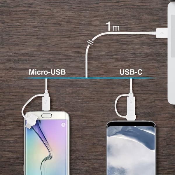 2 i 1 USB typ-C och mikro-USB-kabel - Samsung EP-DG930DWE 1M Vit