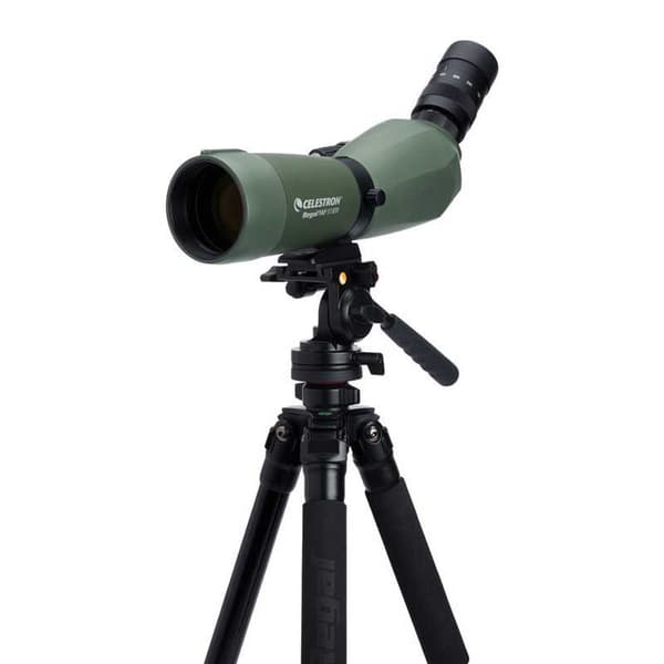 Celestron Spotting Scope Regal M2 65ed 45º Kaukoputki Vihreä