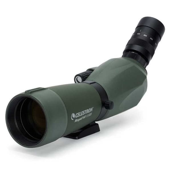 Celestron Spotting Scope Regal M2 65ed 45º Teleskop Grøn Sort, Grøn