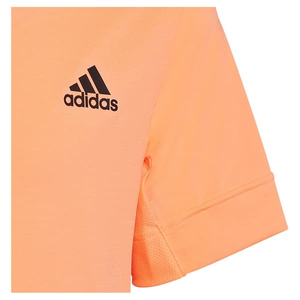 Adidas Kortärmad T-shirt New York Freelift Orange 9-10 Years Pojke