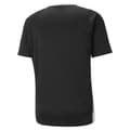 Pikkukuva 2 / 2: Puma Lyhythihainen T-paita Teamliga Logo Musta XL Mies