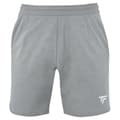 Pikkukuva 1 / 2: Tecnifibre Shortsit Team Harmaa 8-10 Years Poika