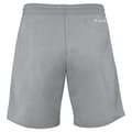 Pikkukuva 3 / 3: Tecnifibre Shortsit Team Harmaa S Mies
