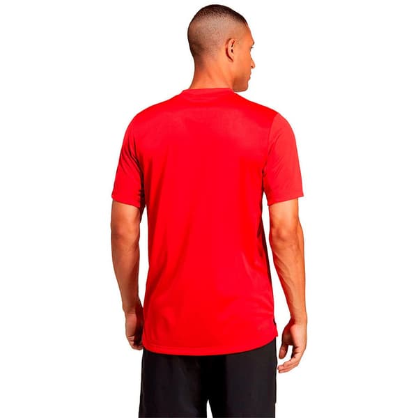 Adidas Lyhythihainen T-paita Club Punainen XL Mies