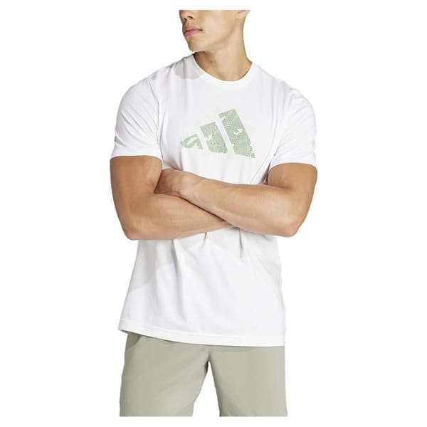 Adidas Kortærmet T-shirt Tns Ao G Hvid XL Mand