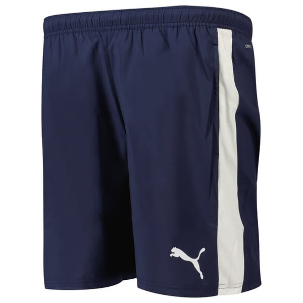 Puma Teamliga Shortsit Sininen XL Mies