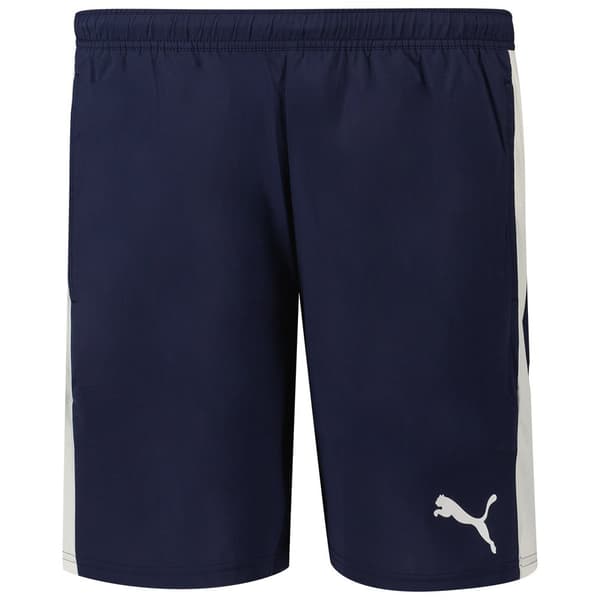 Puma Teamliga Shortsit Sininen XL Mies