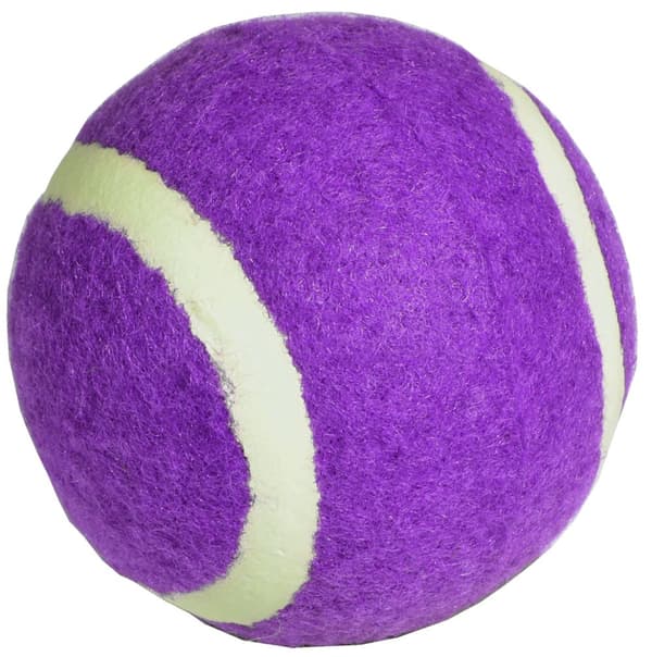 ENERO tennispallo 1 kpl - violetti