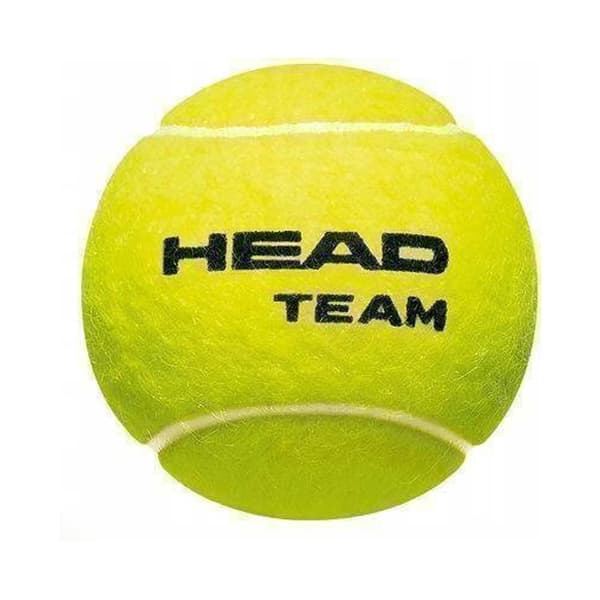 Head Tennisbolde til hold (pakke med 12 stk.) Green One Size