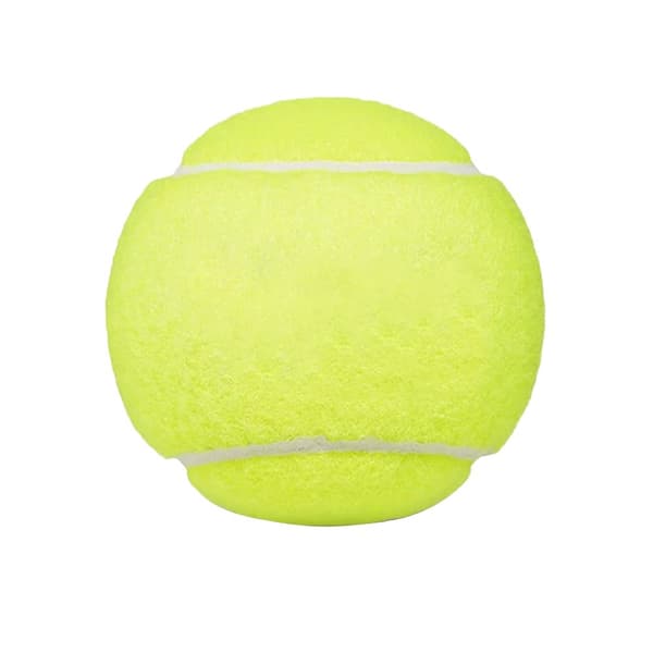 Dunlop Fort All Court tennisbollar (12 st)
