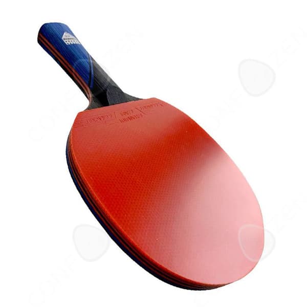 C 1,46 mm bordtennisracket 1 carbon bordtennisfladdermöss 8 bollar 1 påse pingisracket tab tennisset